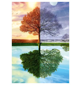 Schmidt Spiele Puzzle Jahreszeiten-Baum, 500 Teile