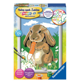 Malset-Box mit Hase, der eine Karotte frisst, dazu Pinsel- und Farbabbildungen.