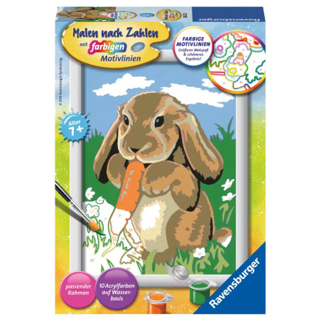Malset-Box mit Hase, der eine Karotte frisst, dazu Pinsel- und Farbabbildungen.