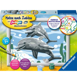 Malset mit Vorlage: Zwei Delfine schwimmen, Farben, Pinsel und Anleitung sind sichtbar.