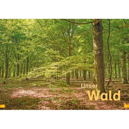 WAS IST WAS Erstes Lesen Band 6. Wald