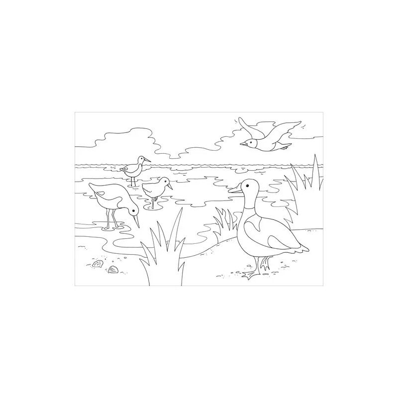 Mein schönstes Malbuch. Am Meer