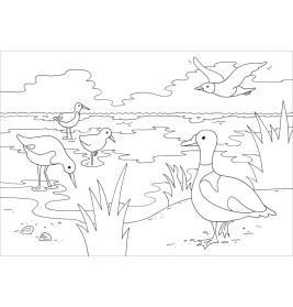 Mein schönstes Malbuch. Am Meer