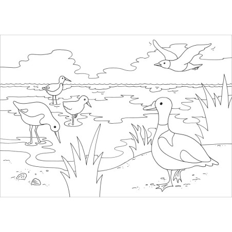 Mein schönstes Malbuch. Am Meer