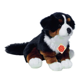 Teddy Hermann Berner Sennenhund sitzend, ca. 29 cm