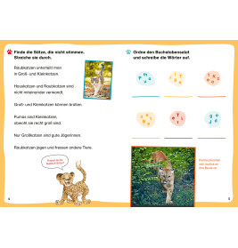 WAS IST WAS Erstes Lesen Leserätsel Heft Raubkatzen
