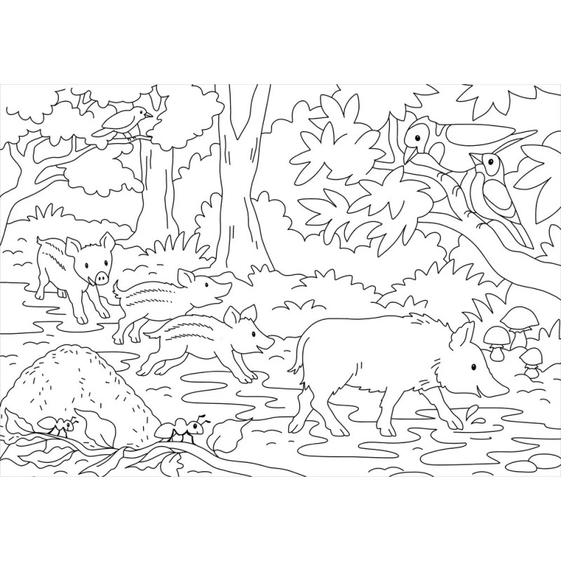 Mein schönstes Malbuch. Wald und Wiese