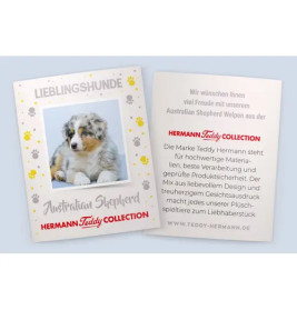 Teddy Hermann Australian Shepherd Welpe, ca. 22cm