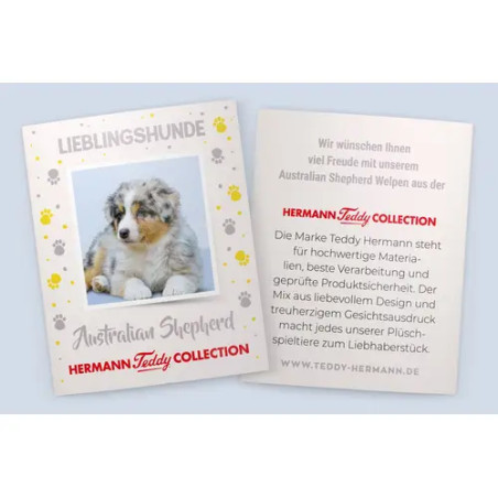 Teddy Hermann Australian Shepherd Welpe, ca. 22cm