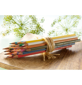Stabilo Buntstifte Greencolors 24er Pack