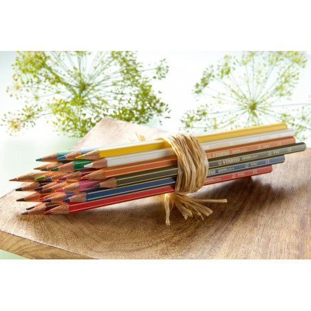 Stabilo Buntstifte Greencolors 24er Pack