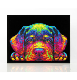 Buntes, pixeliges Hundegesicht mit Pfoten auf schwarzem Grund und schwarzer Umrahmung.