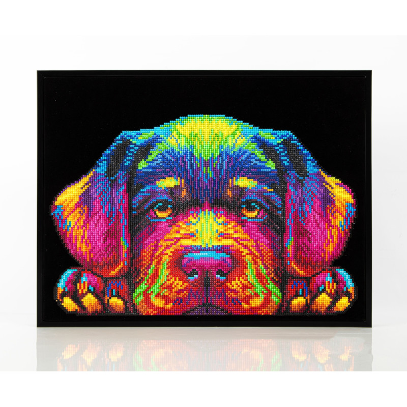 Buntes, pixeliges Hundegesicht mit Pfoten auf schwarzem Grund und schwarzer Umrahmung.