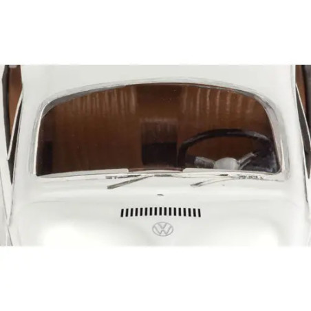 Starter Kit VW Beetle