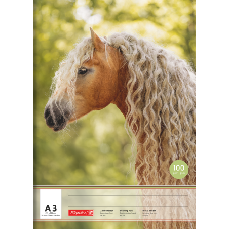 Zeichenblock A3 20Blatt