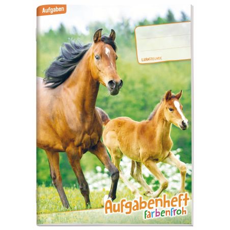 Aufgabenheft Farbenfroh mini A6 - 1 Schuljahr sortiert
