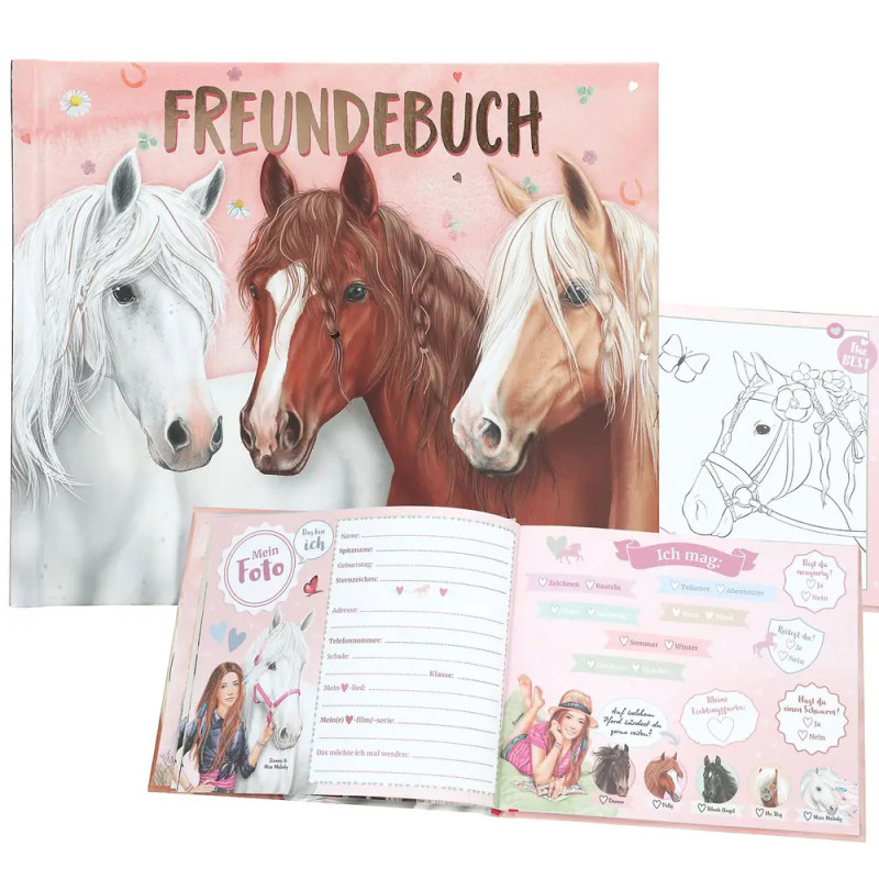 Miss Melody Freundebuch, Motiv 1