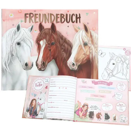 Miss Melody Freundebuch, Motiv 1