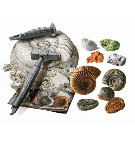 Ausgrabungs-Set Fossilien & Mineralien