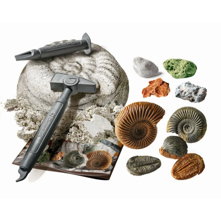 Ausgrabungs-Set Fossilien & Mineralien