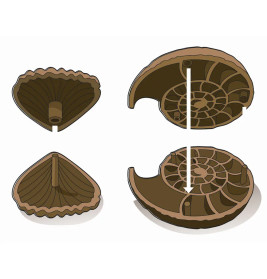 Ausgrabungs-Set Fossilien & Mineralien