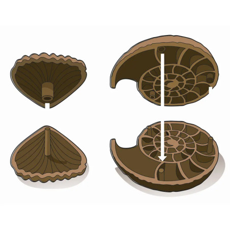 Ausgrabungs-Set Fossilien & Mineralien