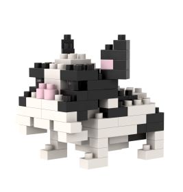 Brixies Französische Bulldogge