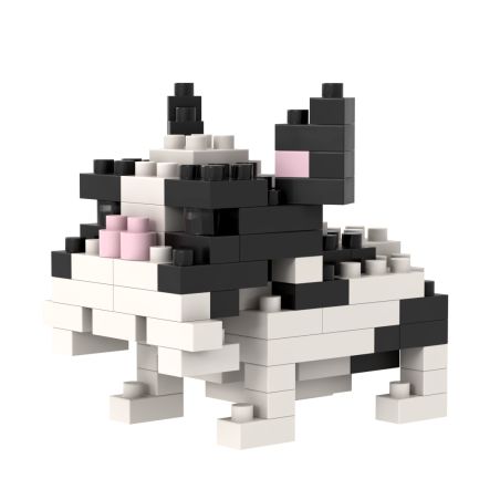 Brixies Französische Bulldogge