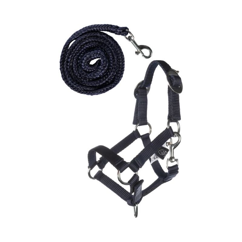 Dunkelblaues Nylonpferdehalfter mit silberner Beschlägen und passendem, aufgerolltem Führungsstrick mit Metallclip.