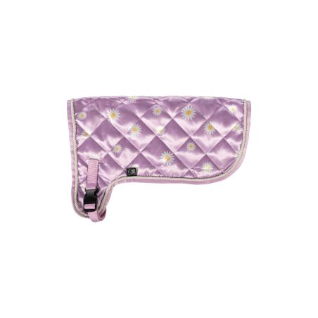 Gestepptes, lavendelfarbenes Hundemantel mit Gänseblümchenmuster und verstellbarem Riemen auf weißem Hintergrund.