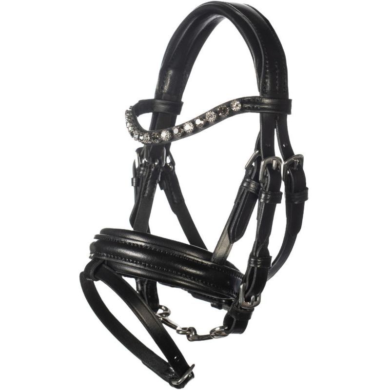 Schwarzes Lederzaumzeug mit silbernen Strassdetails sowie gepolstertem Nasen- und Stirnriemen.