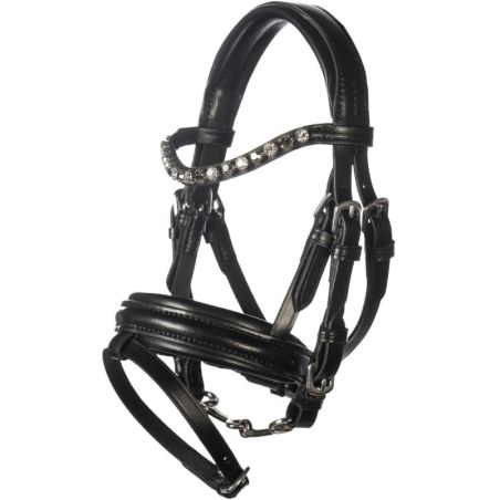 Schwarzes Lederzaumzeug mit silbernen Strassdetails sowie gepolstertem Nasen- und Stirnriemen.