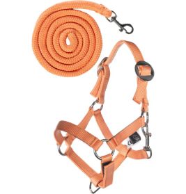 Halfter und Strick orange Hobby Horsing
