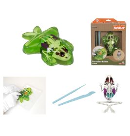 Set zum Sezieren eines Spielzeugfroschs mit Werkzeugen, Modell, Verpackung und Demo einer Froschdissektion.