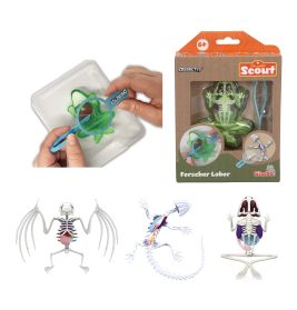 Hände sezieren einen Spielzeugfrosch; eine Box und verschiedene Tierskelett-Modelle sind ebenfalls zu sehen.