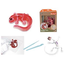 Spielzeug-Salamander-Sezierkit mit Werkzeugen, Verpackung und zusammengebautem Salamander-Skelettmodell.