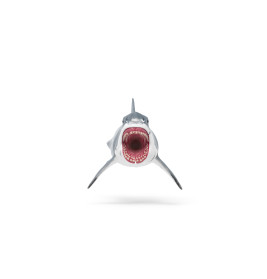 Megalodon