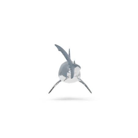 Megalodon