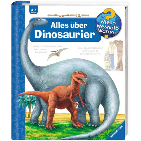 Kinderbuchcover mit blauem Sauropoden und orangefarbenem Theropoden, Titel: Alles über Dinosaurier.