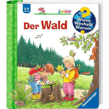 Zwei Kinder erkunden auf dem Cover eines deutschen Kinderbuchs den Wald und beobachten Pflanzen und Insekten.