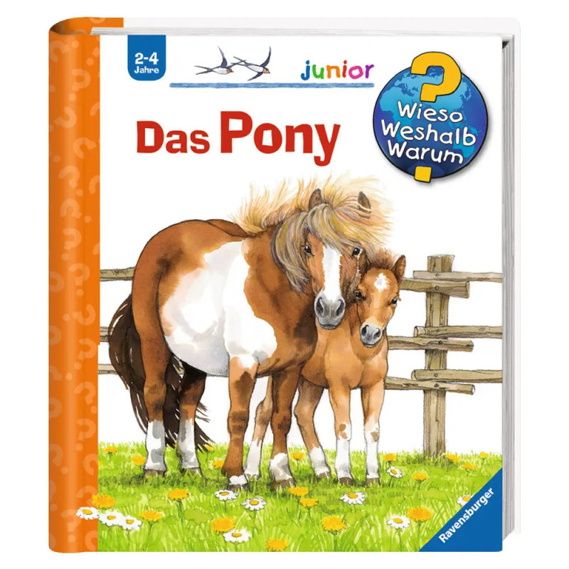 Buchcover mit zwei Ponys, Titel Das Pony, für Kinder von 2-4 Jahren, und blauem Fragezeichen-Symbol.
