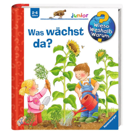 Zwei Kinder gießen und gärtnern neben hohen Sonnenblumen auf einem bunten deutschen Kinderbuchcover.