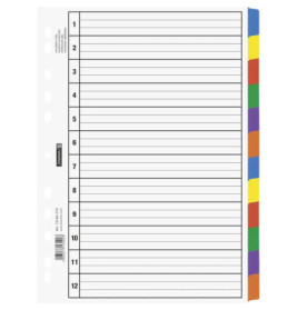 Ringbuchregister A4 12teilig Karton