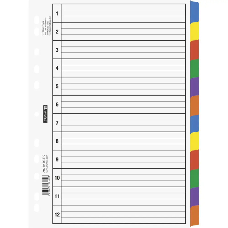 Ringbuchregister A4 12teilig Karton