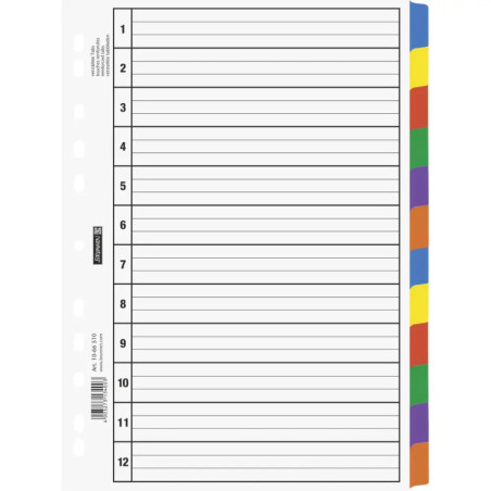 Ringbuchregister A4 12teilig Karton