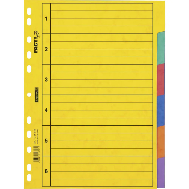 BRUNNEN 1066585  Ringbuchregister  FACT!plus