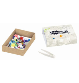DIY-Experimentierset mit bunten Teilen, Pinzette und einer Box mit der Aufschrift Phänomint.