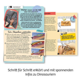 T-REX - 3D