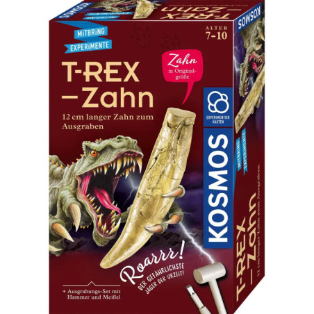 T-rex - Zahn