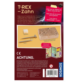 T-rex - Zahn